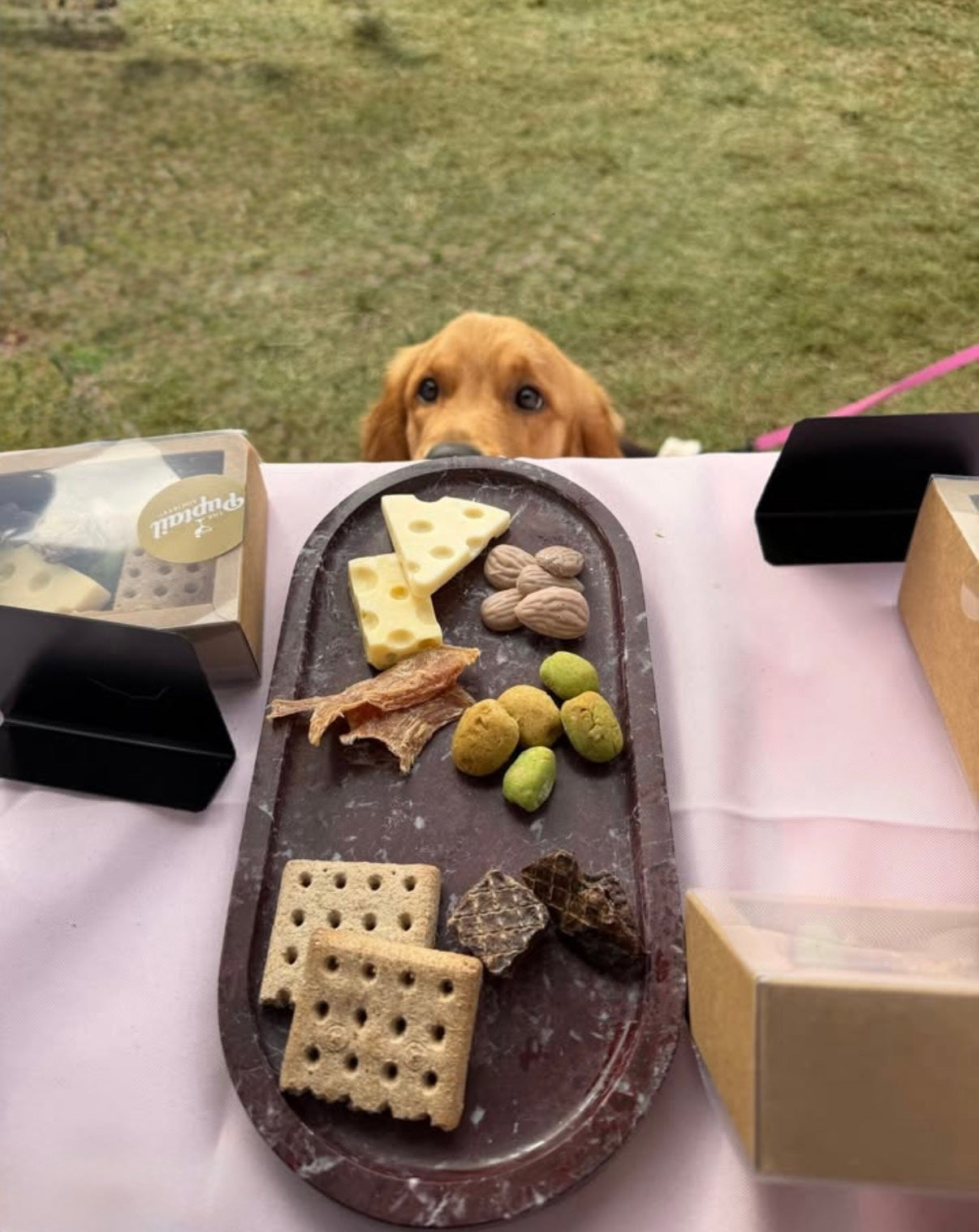 Gourmet Dog Charcuterie Box