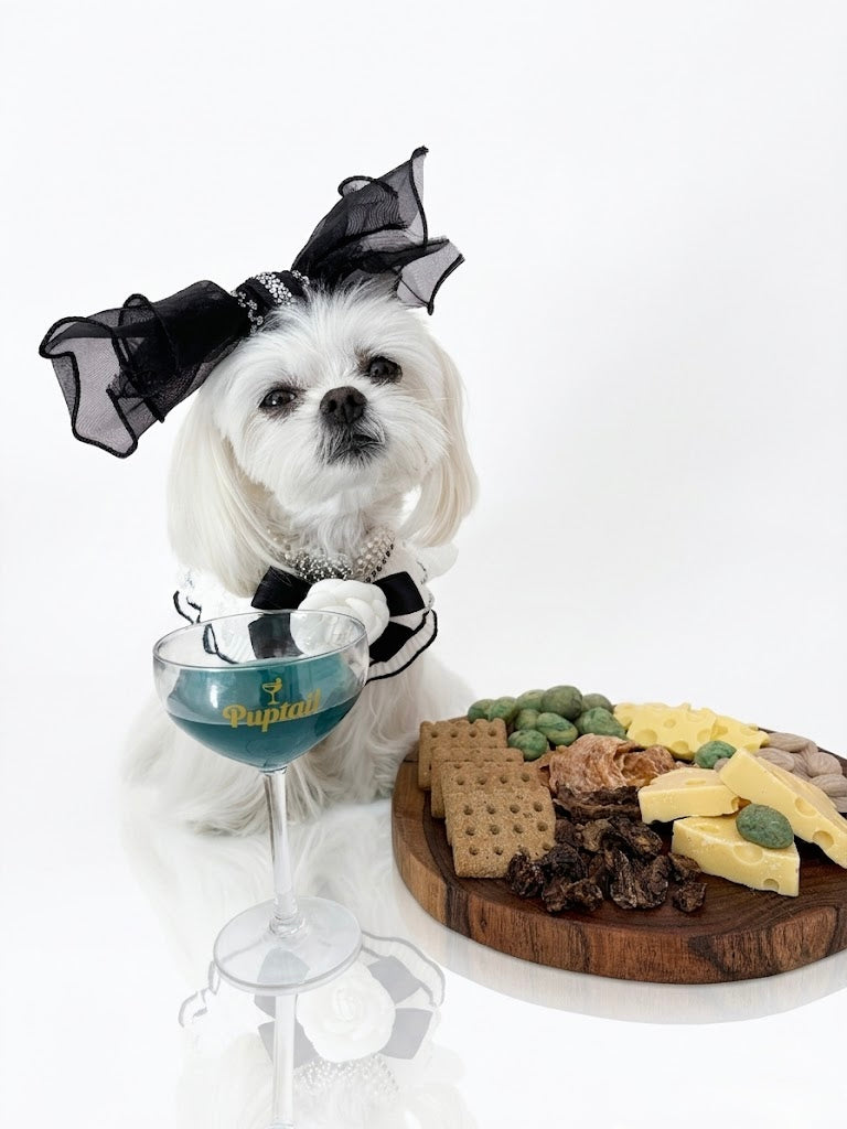 Celebration Gourmet Dog Charcuterie Box