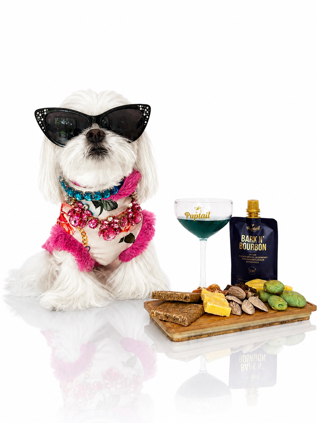 Single Gourmet Dog Charcuterie Box