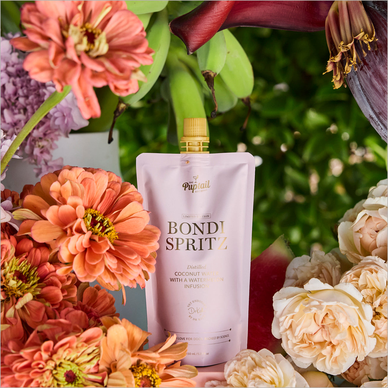 Puptails, Sydney NSW 2009