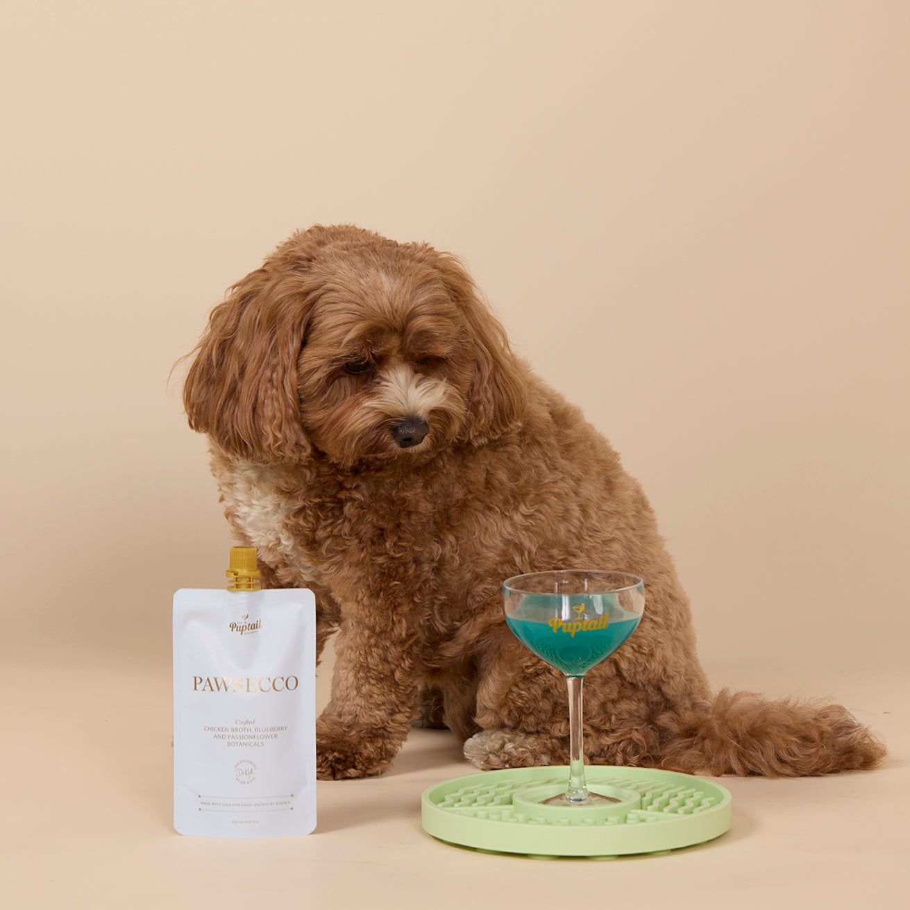 Puptails, Sydney NSW 2009