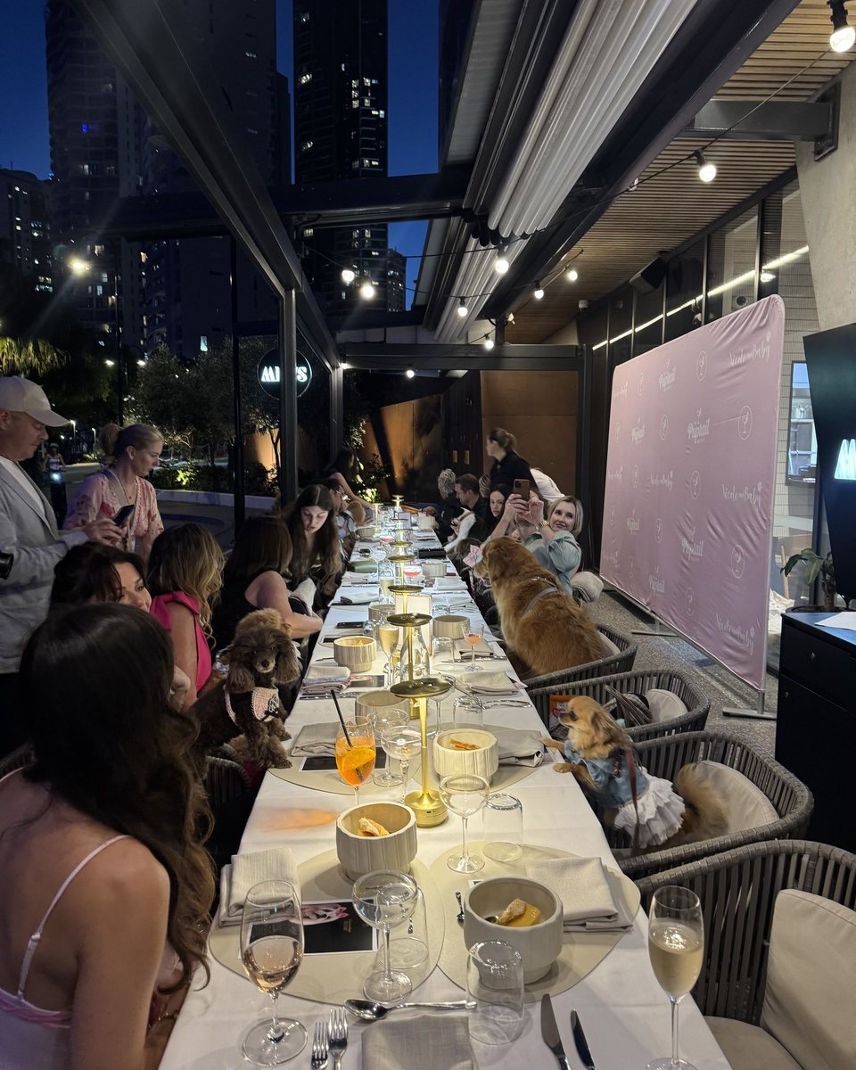 Dogs and guests seated together along the table at night