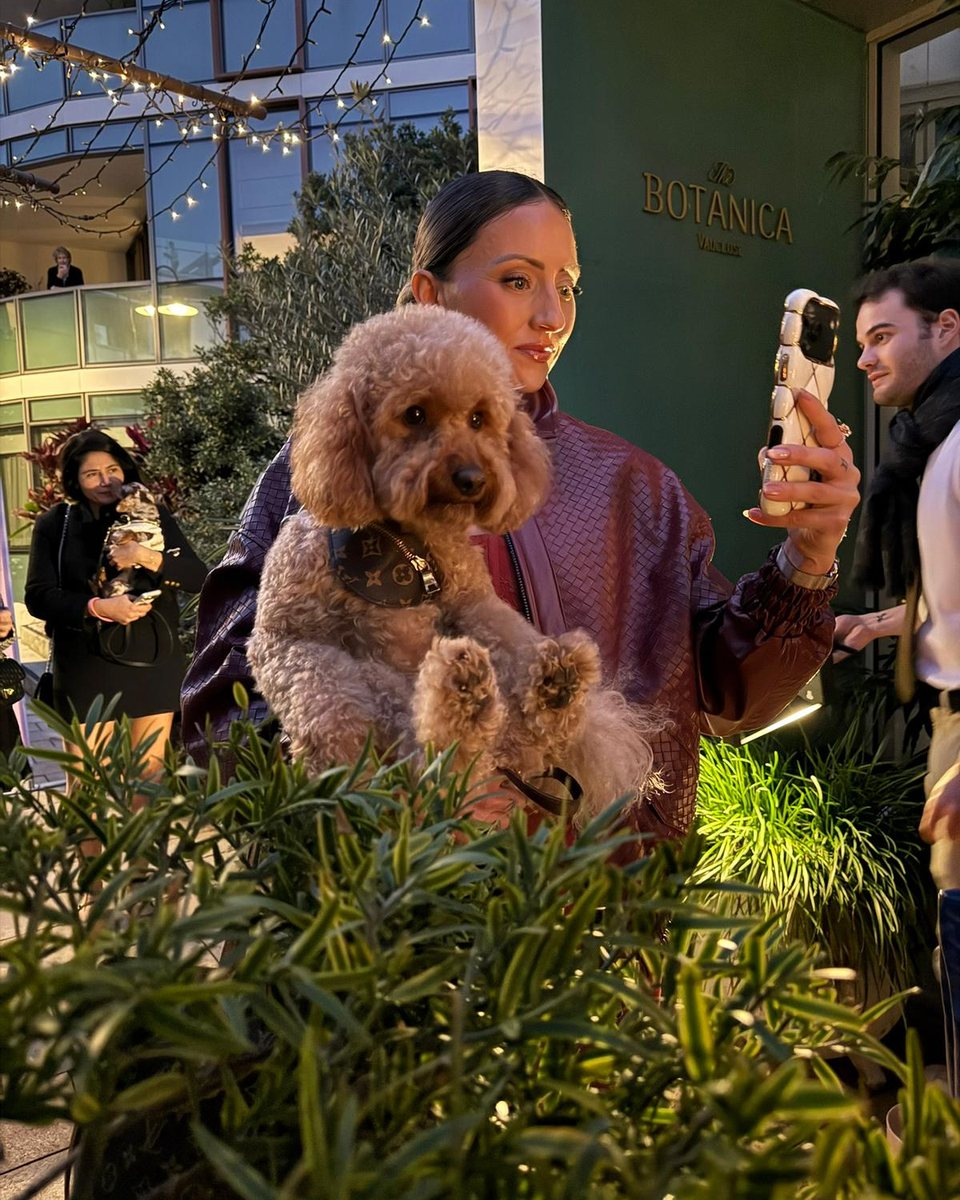 A guest arriving with a poodle