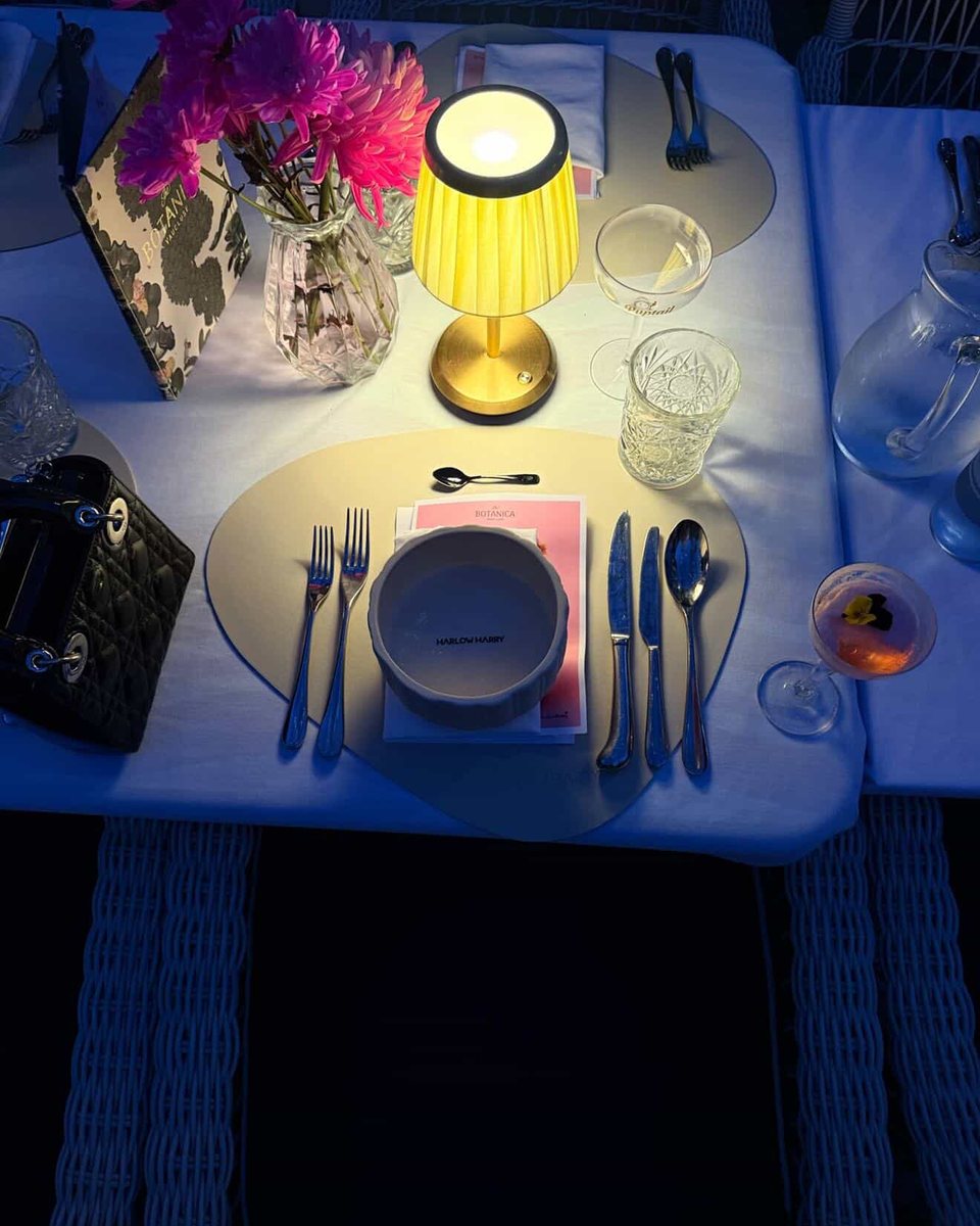 A dog’s place setting, ready for dinner