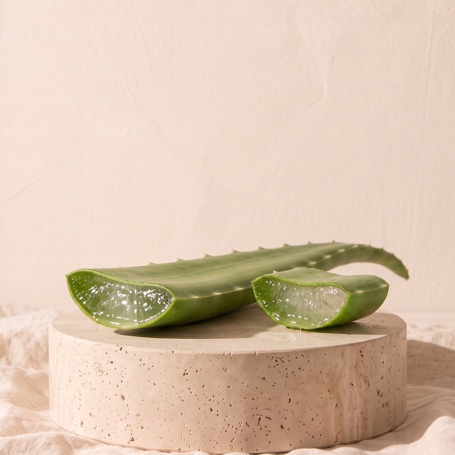 Purified Inner-Leaf Aloe Vera